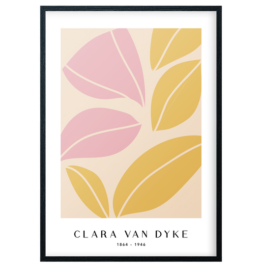 Clara Van Dyke - No11