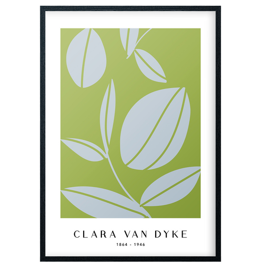 Clara Van Dyke - No8