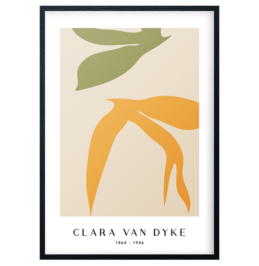 Clara Van Dyke - No12