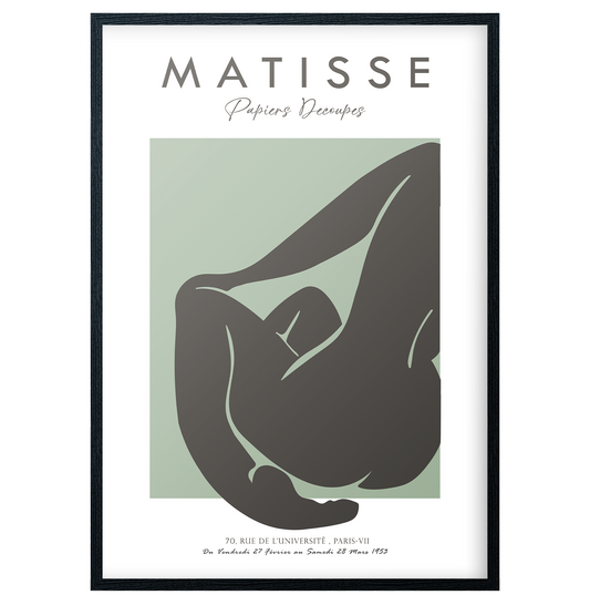 Matisse - Papiers Decoupes No1